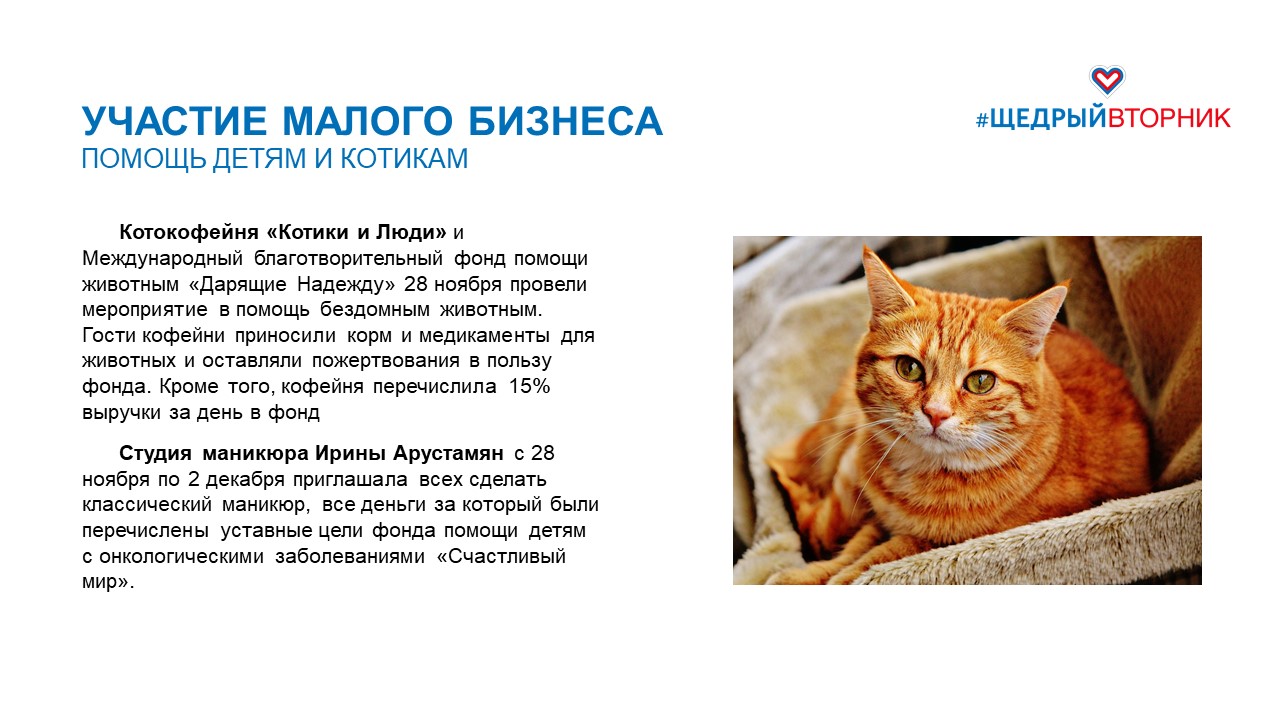Слайд12